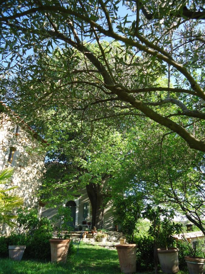 Le Vieux Tilleul Banne Exterior photo